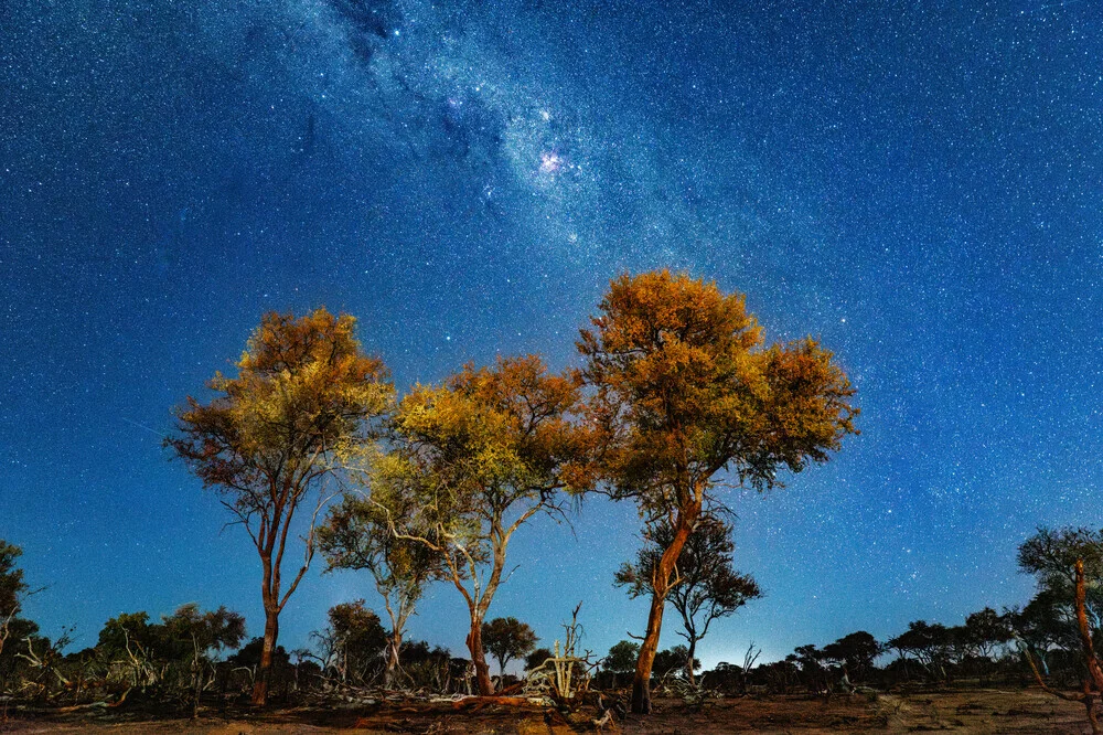 Milkyway #2 Botsuana - Fineart photography by J. Daniel Hunger