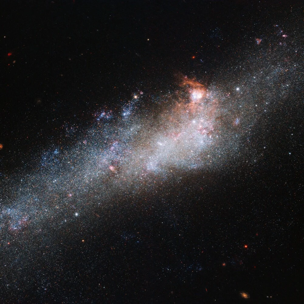 Galaxy NGC 4656 - the Hockey Stick Galaxy - fotokunst von Nasa Visions