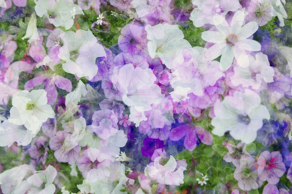 Blüten Vielfalt abstrakt - fotokunst von Nadja Jacke