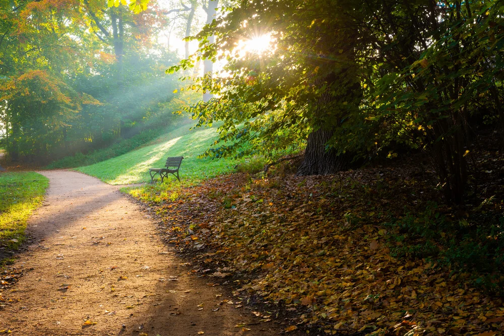 Bench in the Autumn Light - Fineart photography by Martin Wasilewski