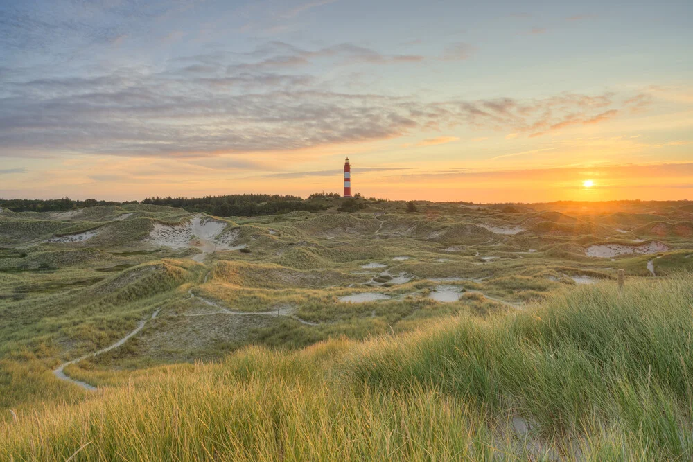 Sunrise in the dunes on Amrum with a view of the lighthouse - Fineart photography by Michael Valjak