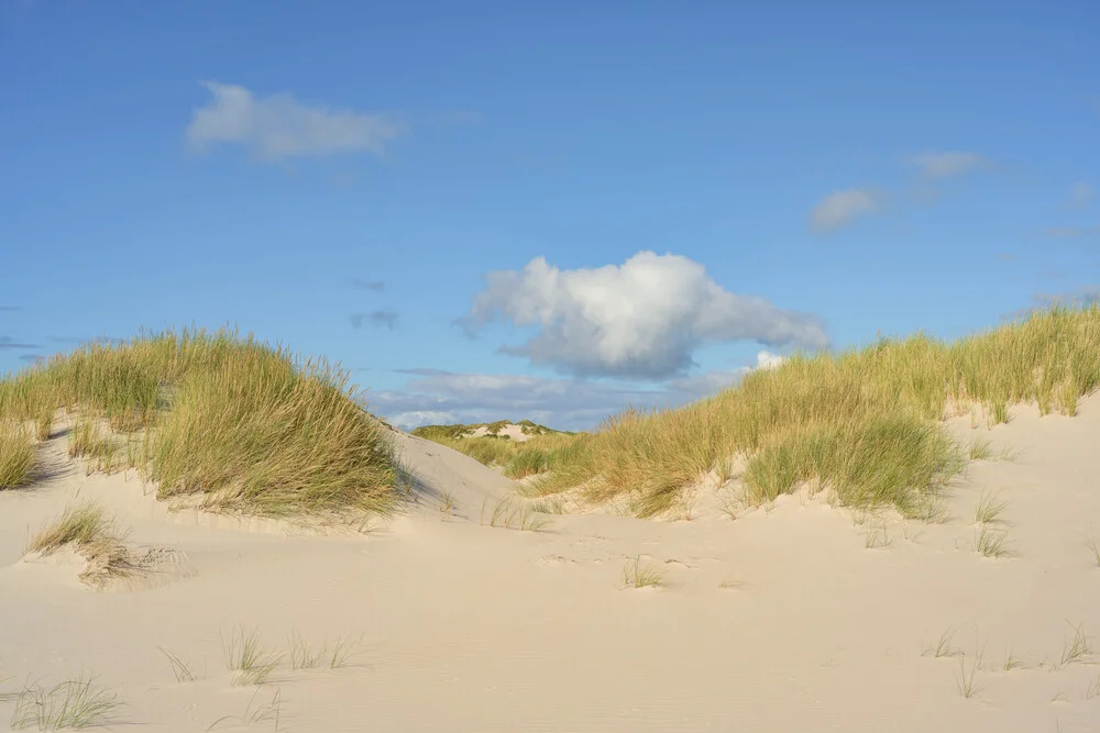 Dunes on Amrum - Fineart photography by Michael Valjak