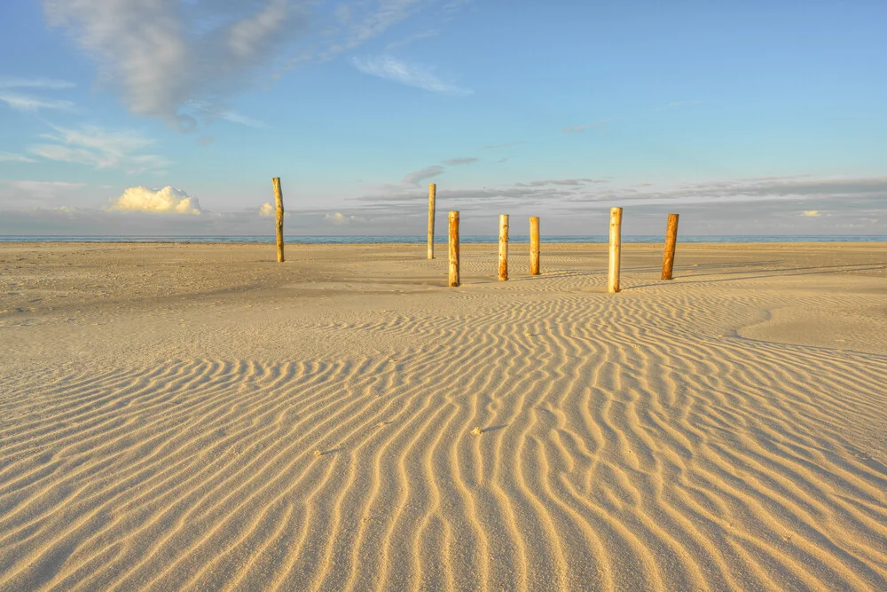 Holzpfähle auf dem Kniepsand auf Amrum - fotokunst von Michael Valjak