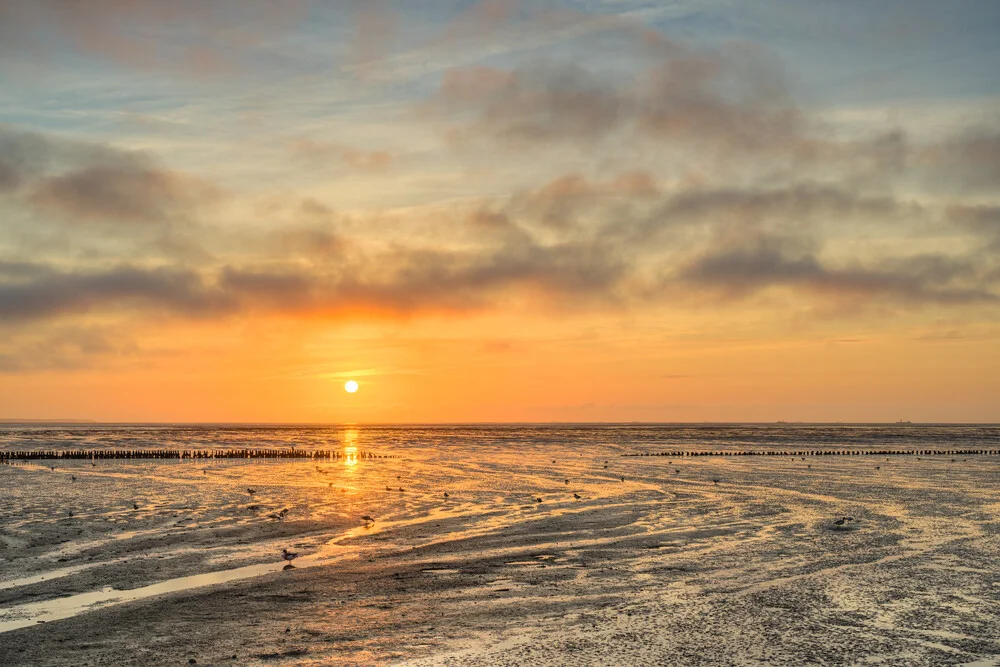 Sunrise in the Wadden Sea on the North Sea - Fineart photography by Michael Valjak