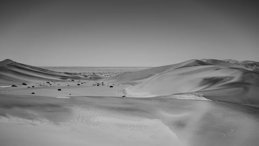 Soul of the Desert - Namib Desert 1 - fotokunst von Dennis Wehrmann