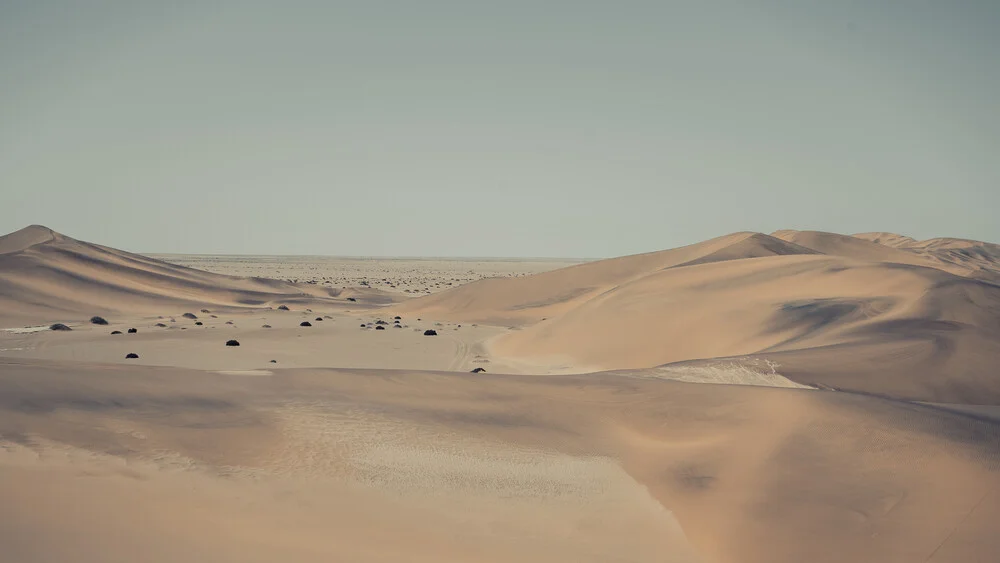 Soul of the Desert - Namib Desert 3 - fotokunst von Dennis Wehrmann