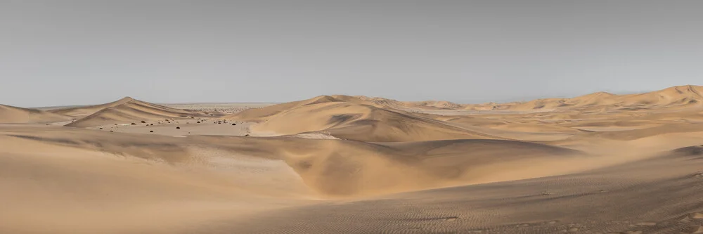 Panorama Soul of the Desert - Namib Desert 1 - Fineart photography by Dennis Wehrmann