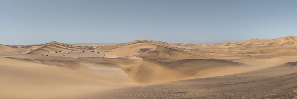 Panorama Soul of the Desert - Namib Desert 2 - Fineart photography by Dennis Wehrmann