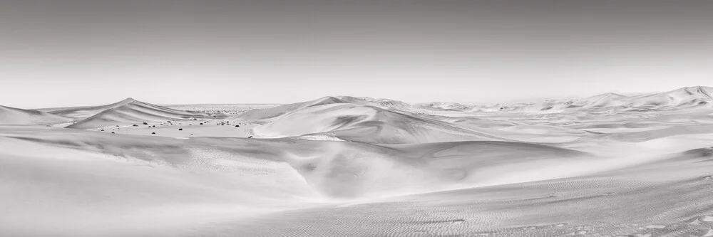 Panorama Soul of the Desert - Namib Desert 3 - Fineart photography by Dennis Wehrmann