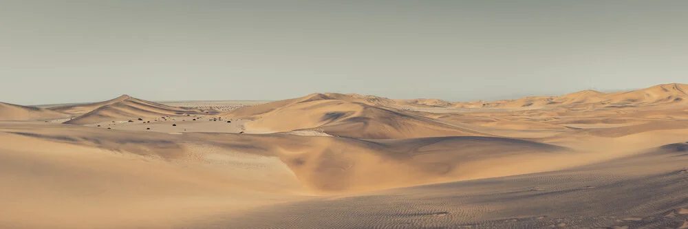 Panorama Soul of the Desert - Namib Desert 4 - Fineart photography by Dennis Wehrmann