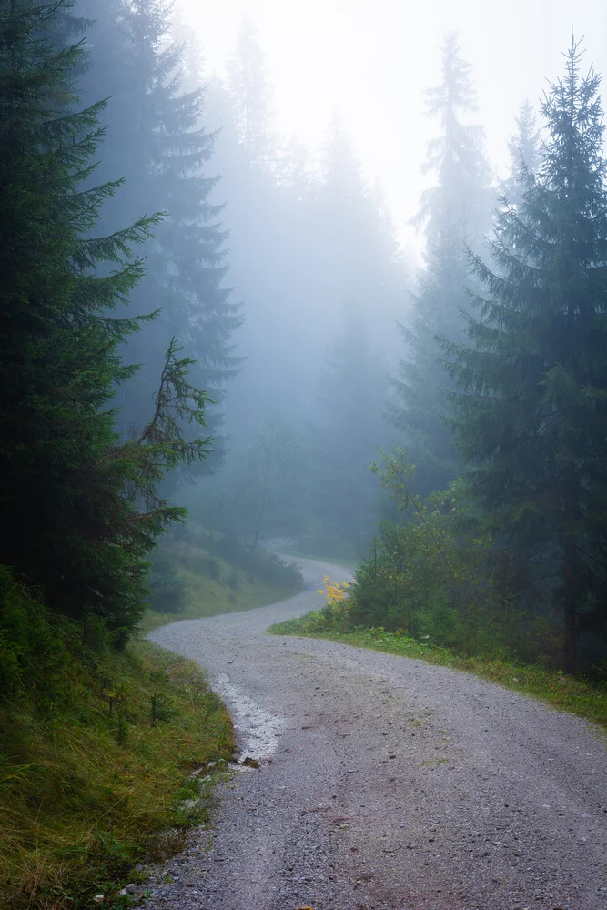 Foggy Path in the Alps - Fineart photography by Martin Wasilewski