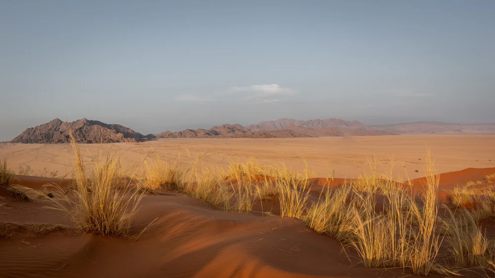 beauty of the namib naukluft park II - Fineart photography by Dennis Wehrmann