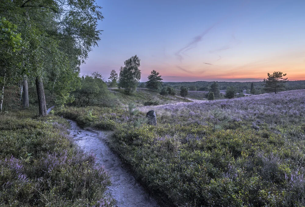 Lüneburg Heath - Fineart photography by Patrice Von Collani