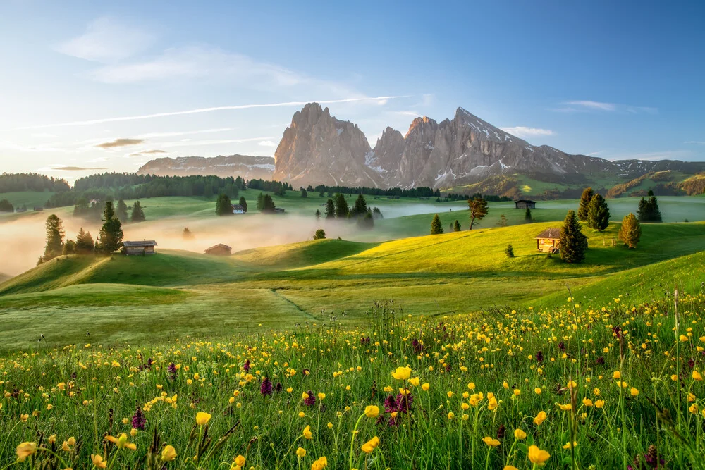 Frühling auf der Seiser Alm in Südtirol - fotokunst von Achim Thomae