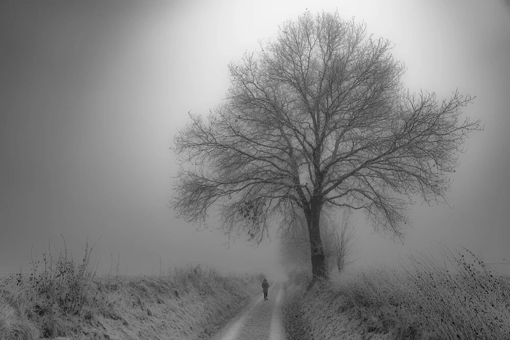 Der Baum - fotokunst von Sascha Hoffmann-Wacker