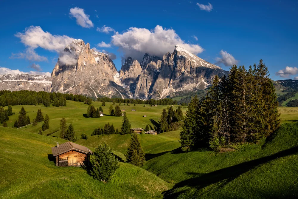 Summer on Alpe di Siusi in South Tyrol - Fineart photography by Achim Thomae