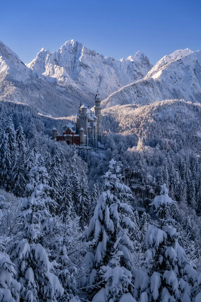 Wintertime in Bavaria Germany - Fineart photography by Achim Thomae