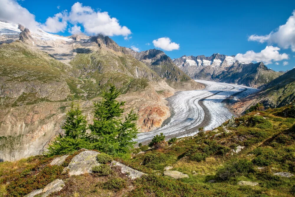 Aletschgletscher Schweiz - fotokunst von Achim Thomae