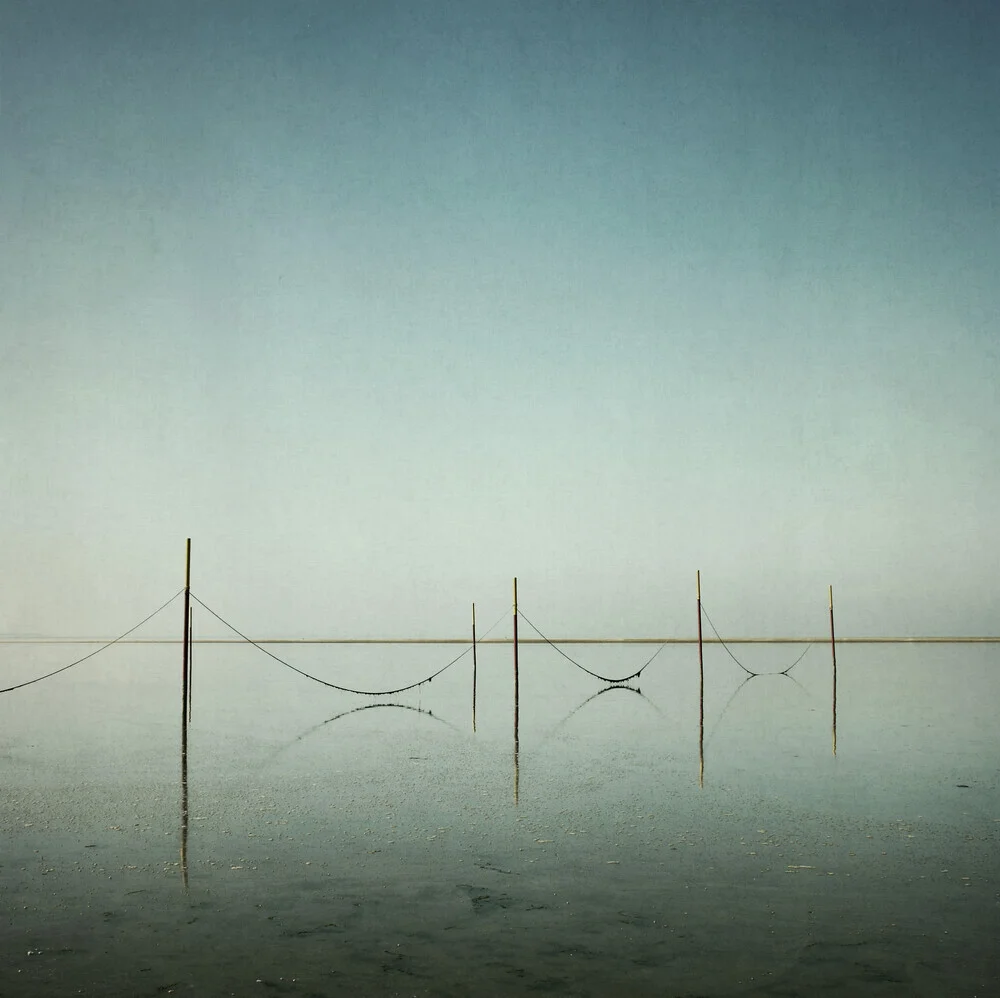 Connections - Fineart photography by Manuela Deigert