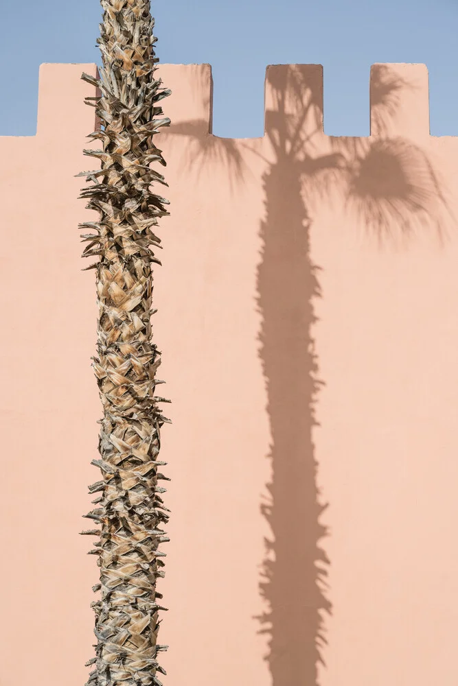 Shadow of a palm tree in Marrakesh in Morocco - Fineart photography by Photolovers .