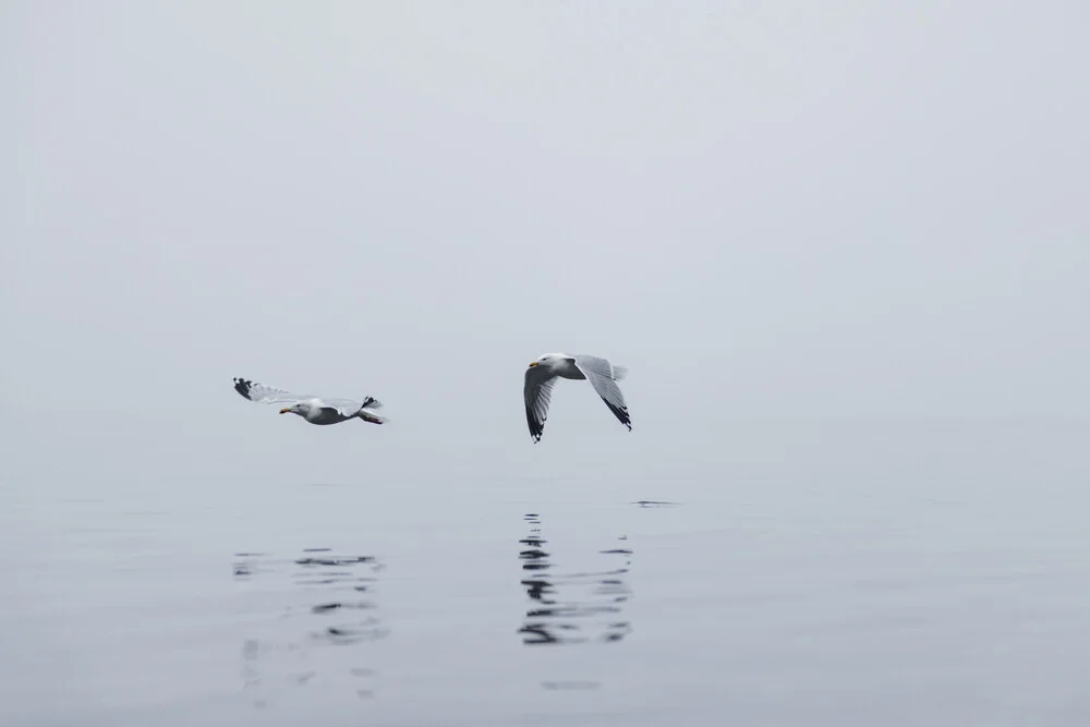 Zwei Möwen im Nebel über der Ostsee - fotokunst von Nadja Jacke