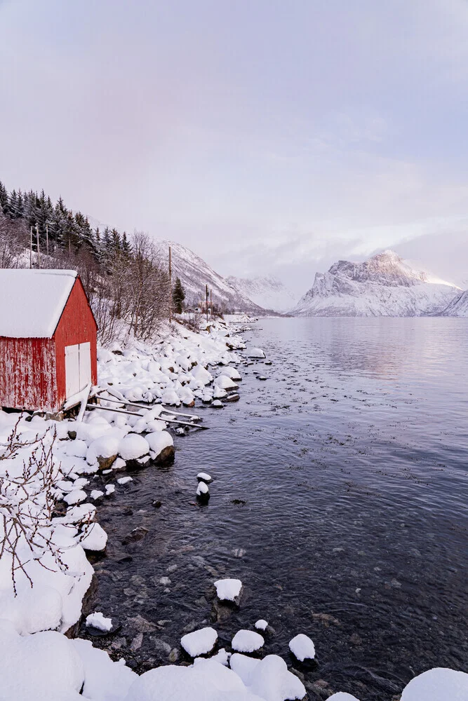 Red boathouse in a bay on Senja, Northern Norway - Fineart photography by Eva Stadler