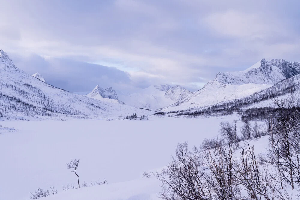 Insel Senja: zugefrorene Medfjordbotnvatnan - fotokunst von Eva Stadler