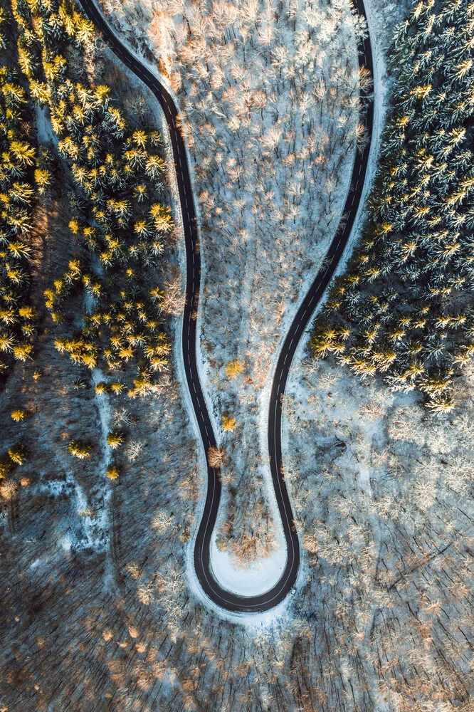 Snow capped tress and curvy road from above - Fineart photography by Lina Jakobi