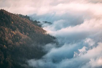 Sebastian ‚zeppaio' Scheichl - 'Trees vs clouds' | Photocircle.net